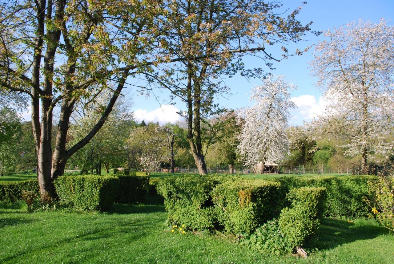 Gites Aux Fleurs De Cerises Le Plessis-Luzarches ภายนอก รูปภาพ